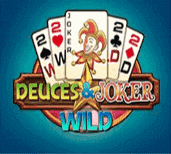 Deuces Wild Joker